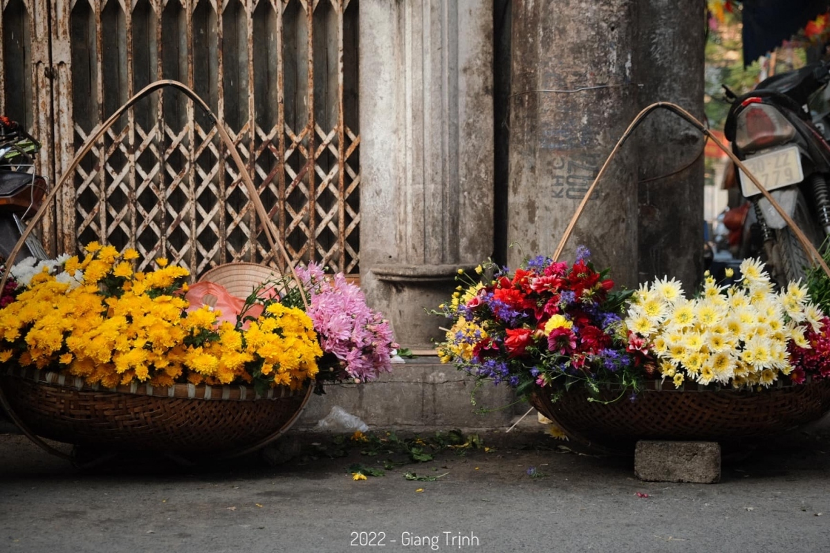 Colourful flowers adorn streets of Hanoi in wintertime
