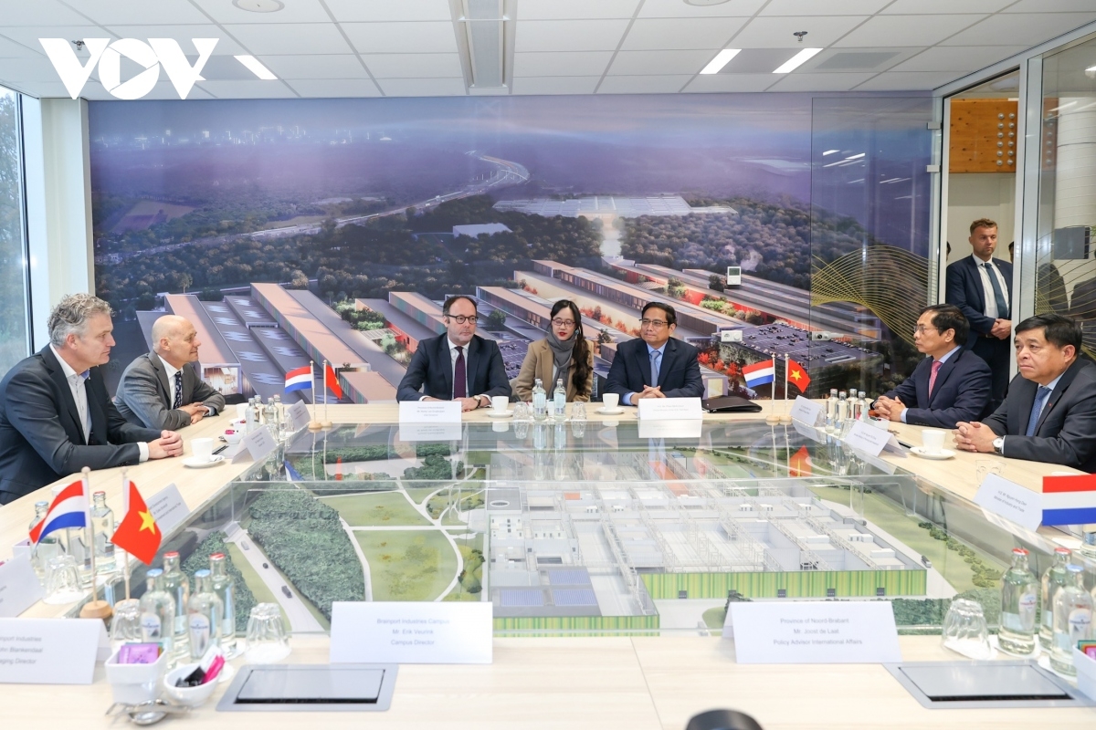 pm desires stronger all-around cooperation between amsterdam and vietnamese localities picture 3 pm desires stronger all-around cooperation between amsterdam and vietnamese localities picture 3