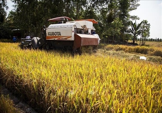 vietnam eyes double investment in agriculture to us 34 billion by 2030 picture 1