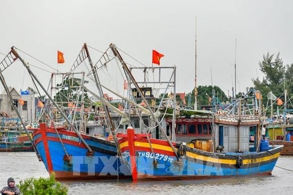 thanh hoa vessels possible of violating rules against iuu fishing announced picture 1