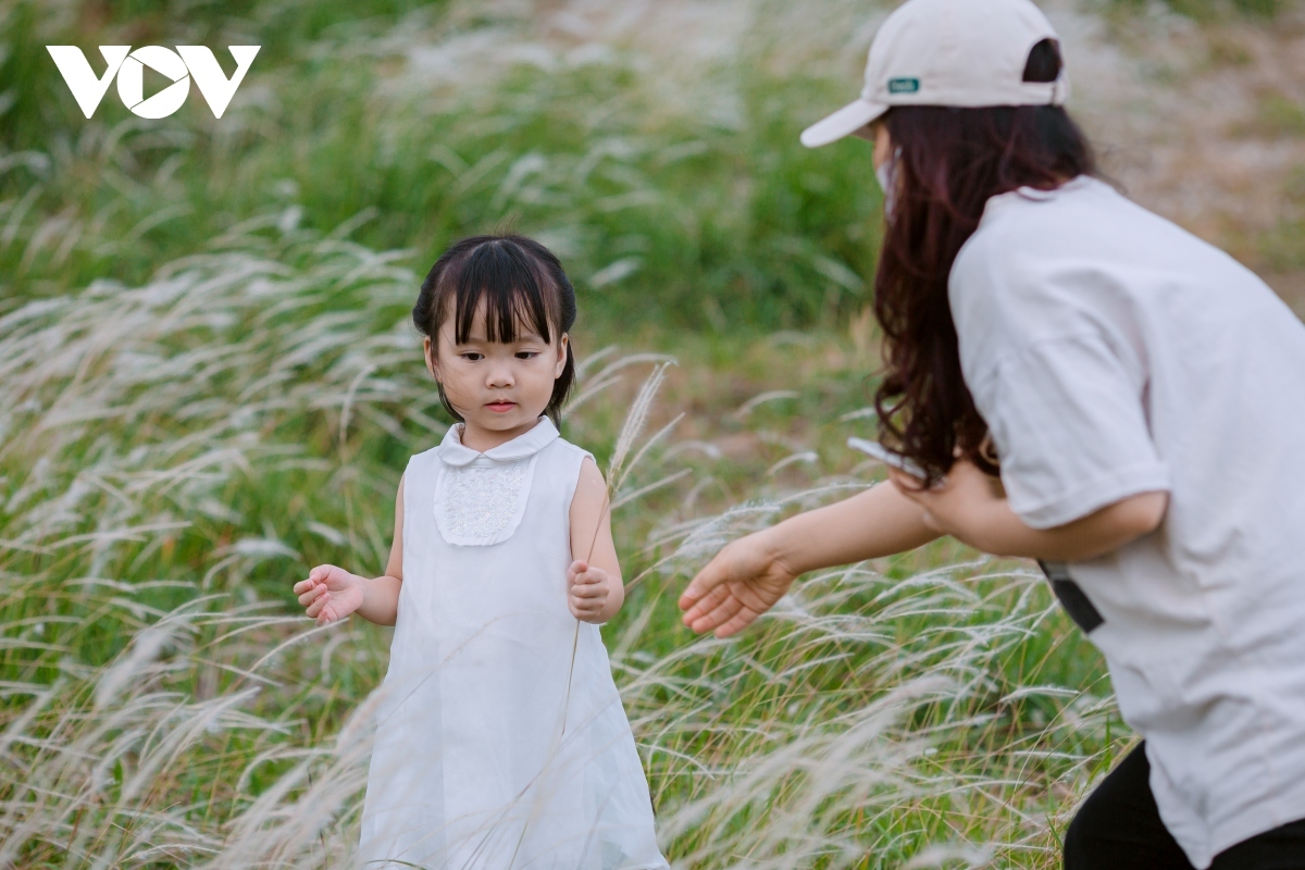 young people flock to white reed field in long bien district for romantic photos picture 7