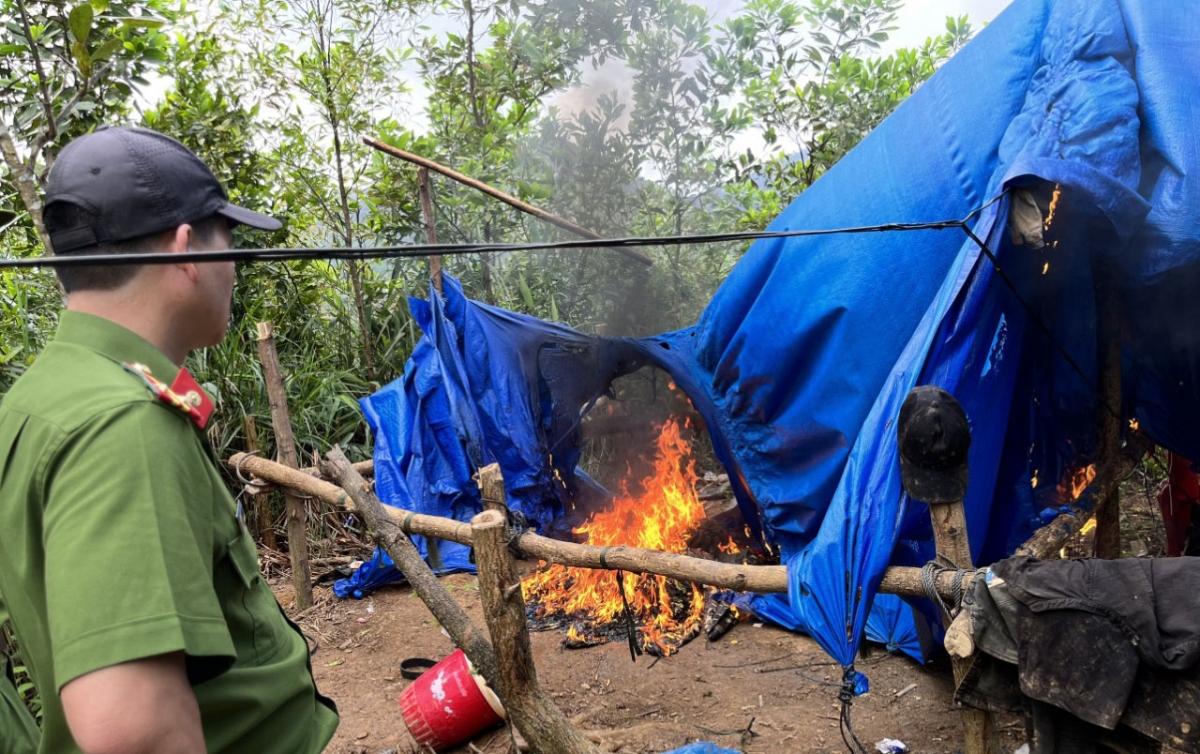 cong an tinh quang nam to chuc truy quet vang tac tai bong mieu hinh anh 2 cong an tinh quang nam to chuc truy quet vang tac tai bong mieu hinh anh 2