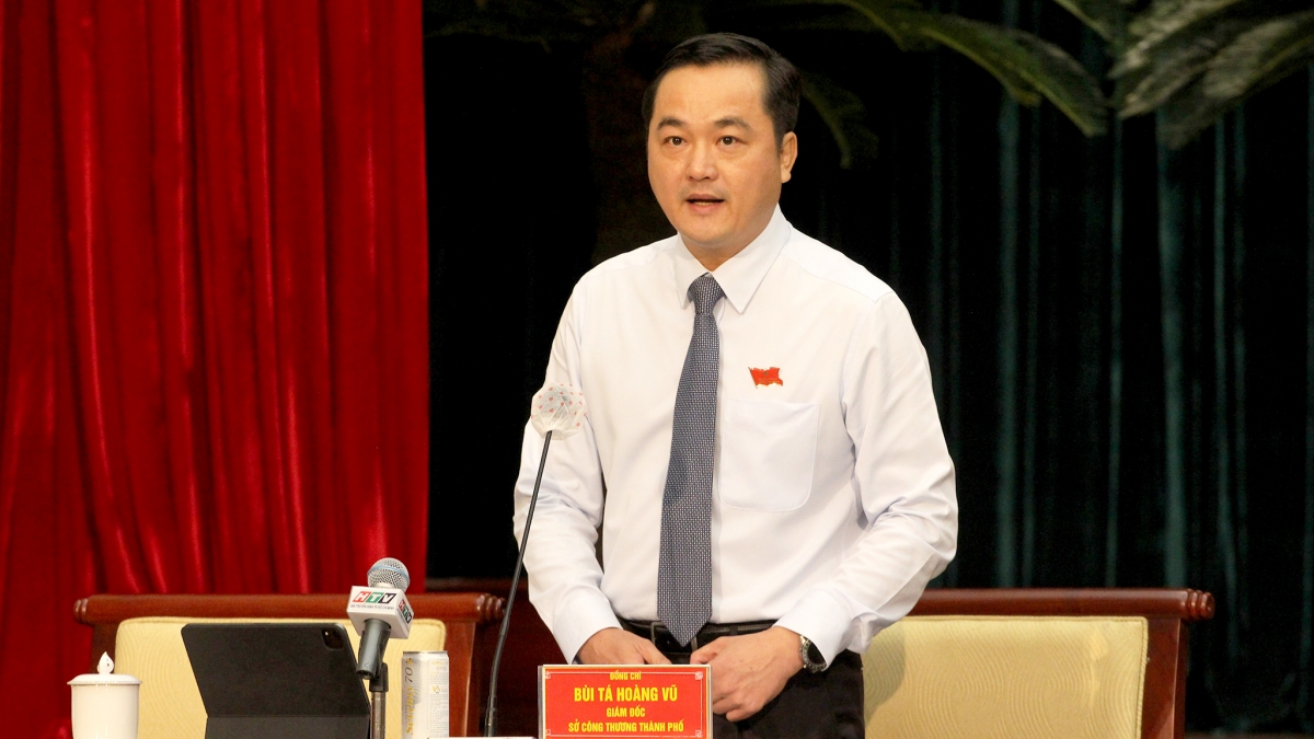 kinh te tp.hcm but pha manh me, tiep tuc dan dau nhieu linh vuc hinh anh 4