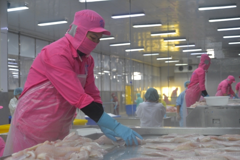 Khai mạc Lễ hội Cá tra lần thứ I năm 2022 tại Đồng Tháp