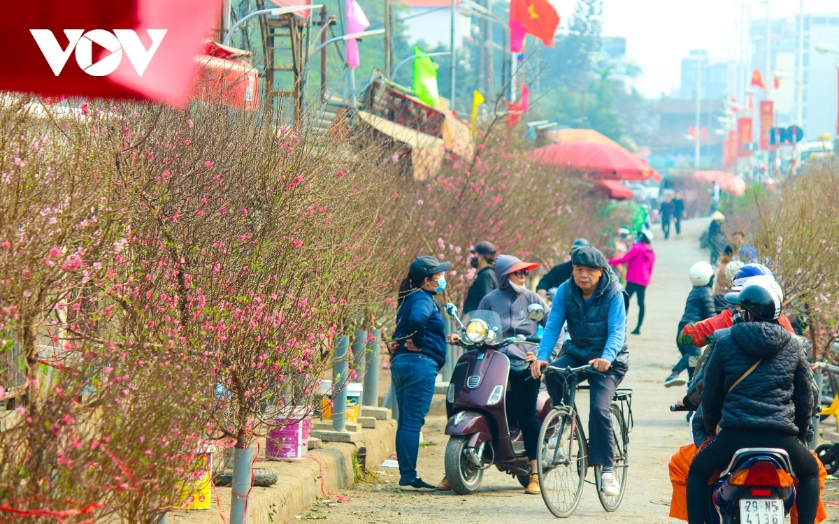 chi tiet cam duong, phan luong giao thong ha noi dip tet quy mao nam 2023 hinh anh 1