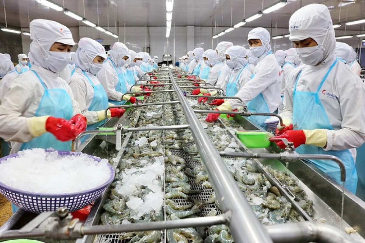 shrimp exports to chinese market increased by 50 in october picture 1