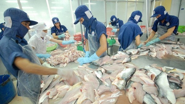 strong growth recorded in tra fish exports to asean markets picture 1