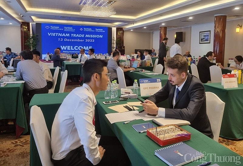 vietnam strives to attract turkish businesses picture 1