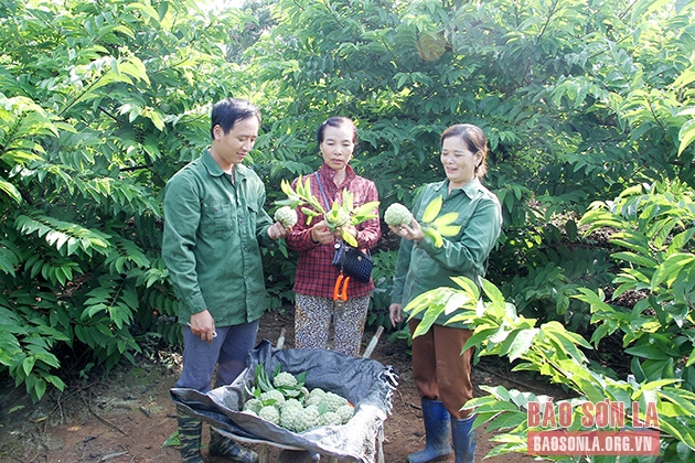 ho tro nong dan bao quan, so che cac mat hang nong san hinh anh 2