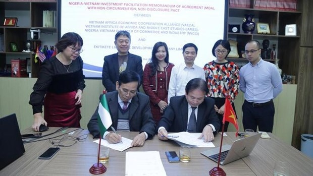 vietnamese agencies cooperate in cattle breeding with nigerian partners picture 1