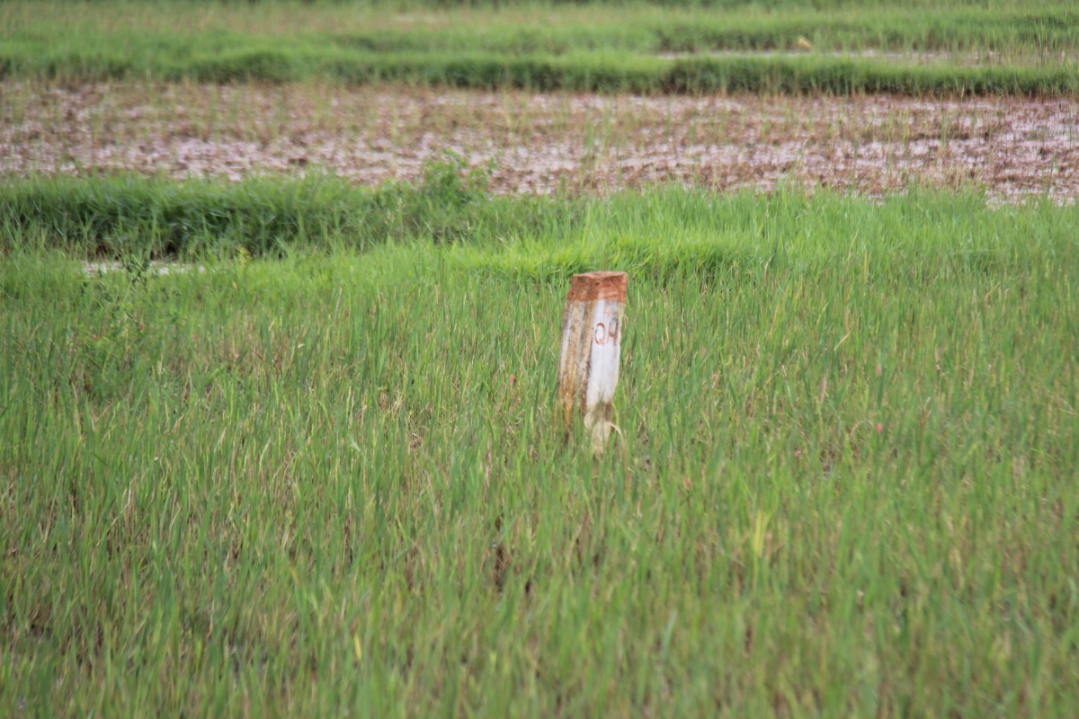 Bình Định gỡ vướng mặt bằng thi công cao tốc Bắc-Nam