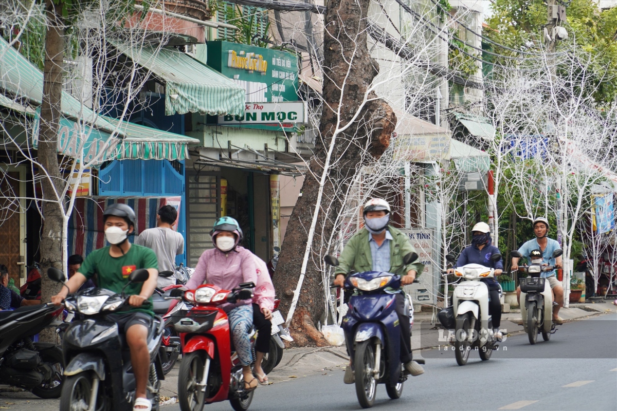 christmas atmosphere descends on parishes in ho chi minh city picture 7