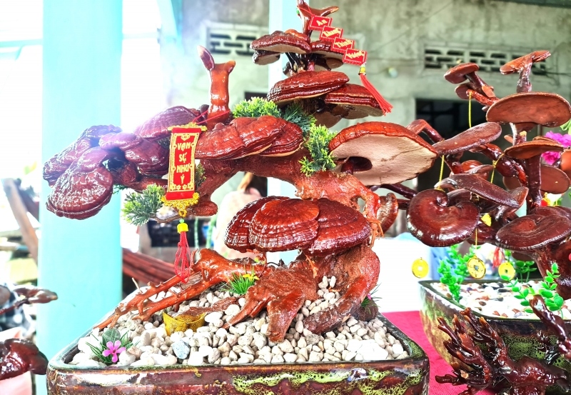 Cô gái xinh đẹp làm kiểng bonsai từ nấm linh chi không đủ bán Tết