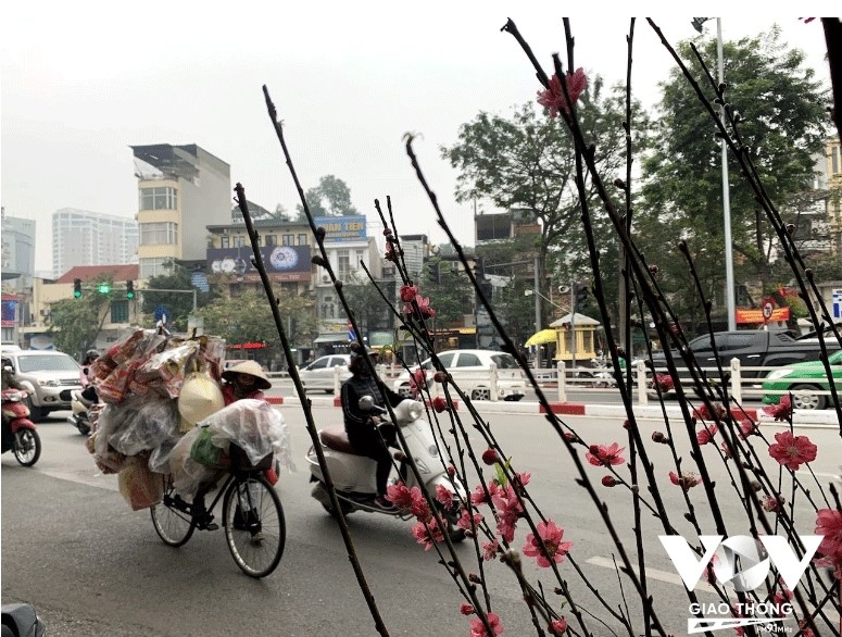 nguoi ha noi cung ong cong ong tao som hinh anh 13