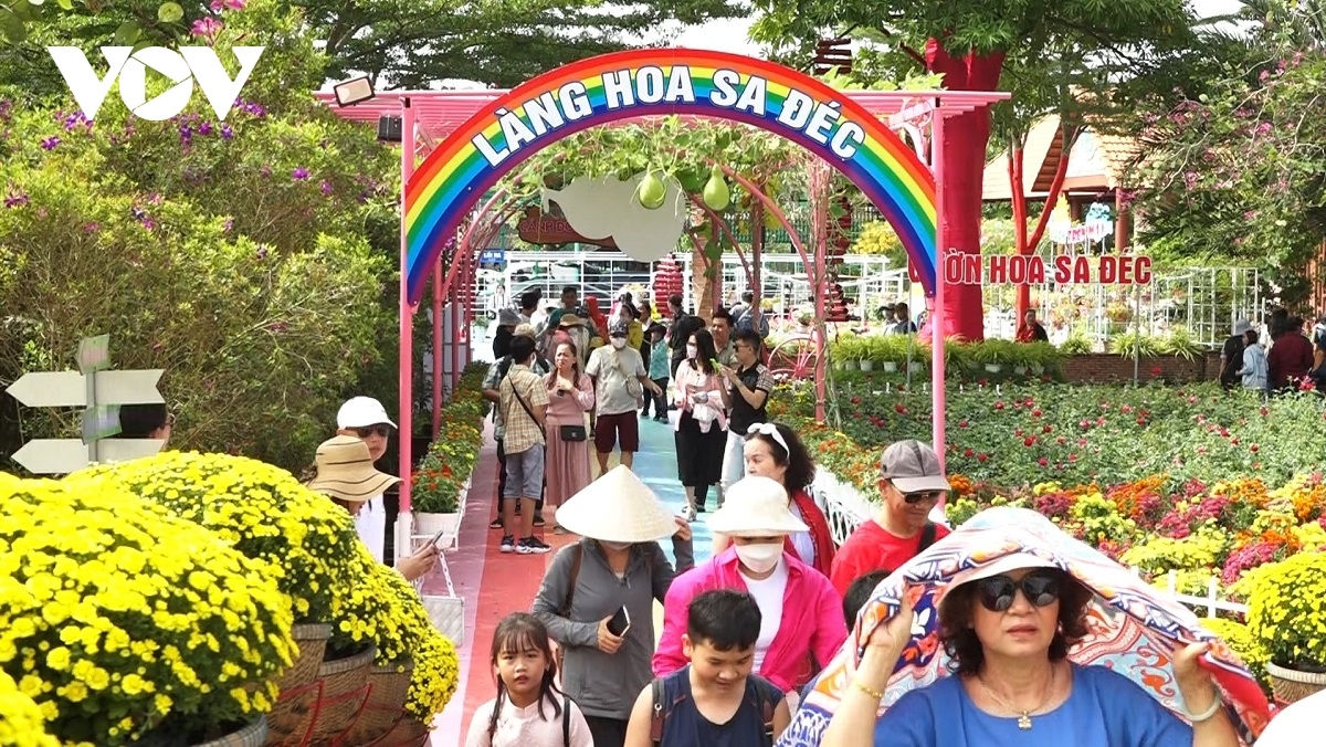 sa dec flower village rushes to prepare for lunar new year picture 14