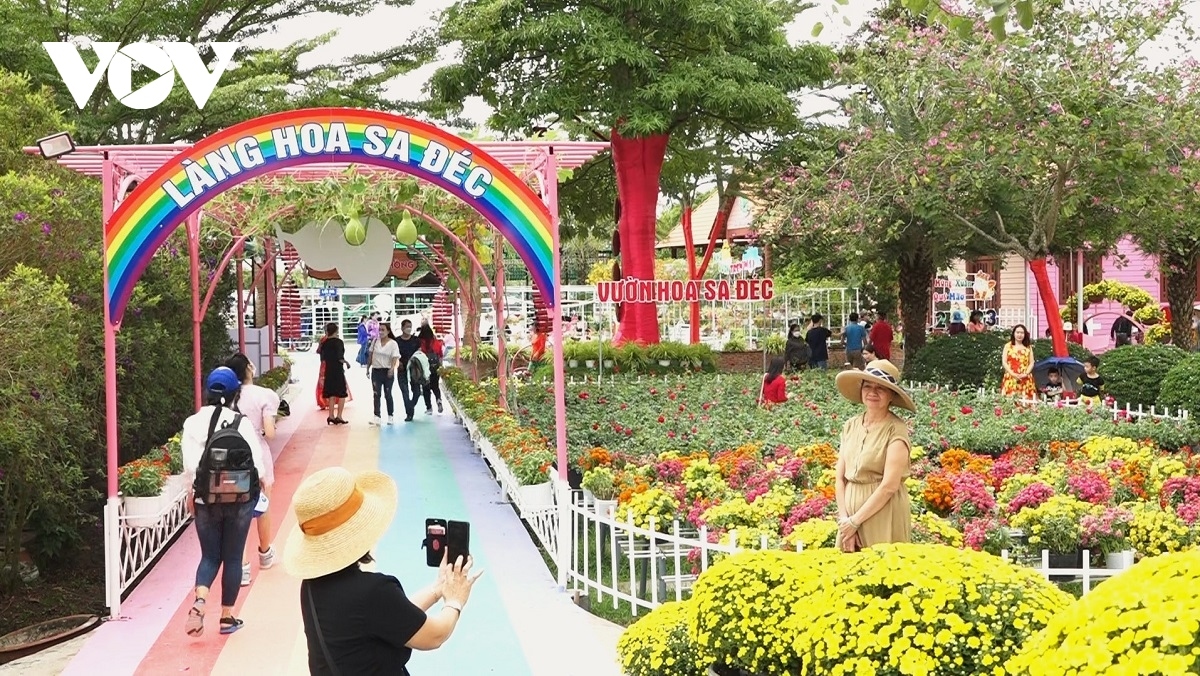sa dec flower village rushes to prepare for lunar new year picture 15