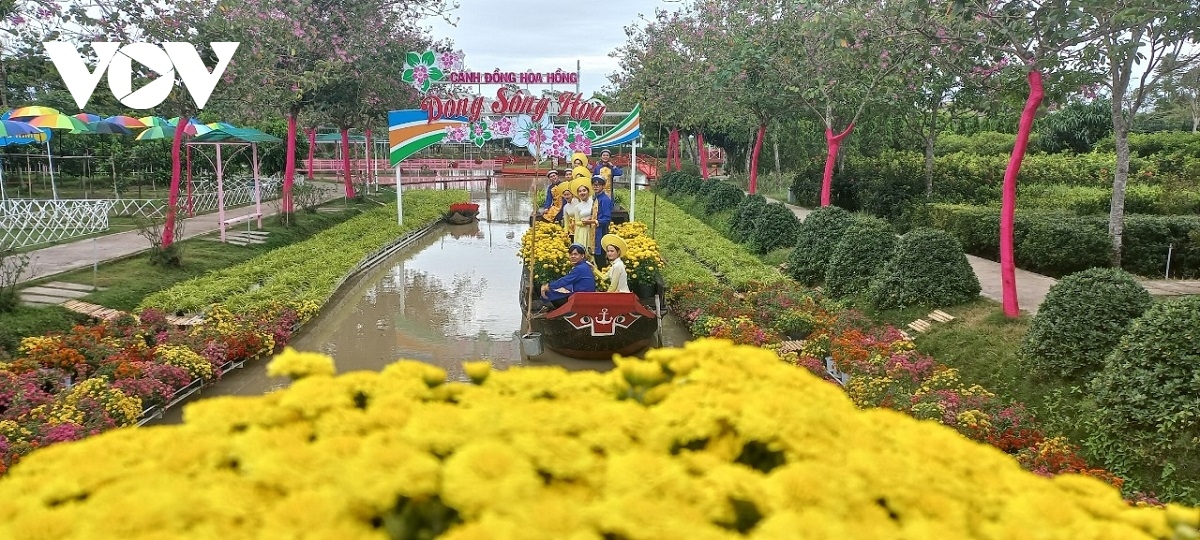 sa dec flower village rushes to prepare for lunar new year picture 16