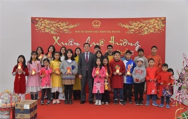 tet gatherings held abroad by vietnamese embassies picture 2