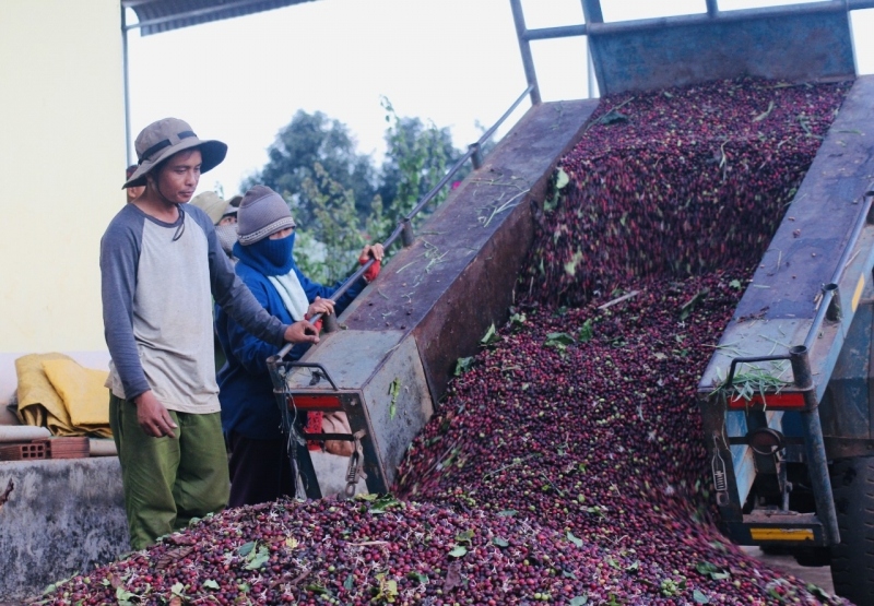 Làng Đê Ktu đoàn kết, hăng say lao động sản xuất xây dựng nông thôn mới