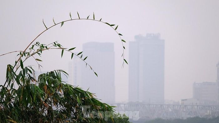air quality worsens as thick haze descends on hanoi picture 3