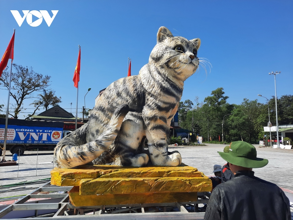 people keen on cat mascot ahead of lunar new year in quang tri picture 6