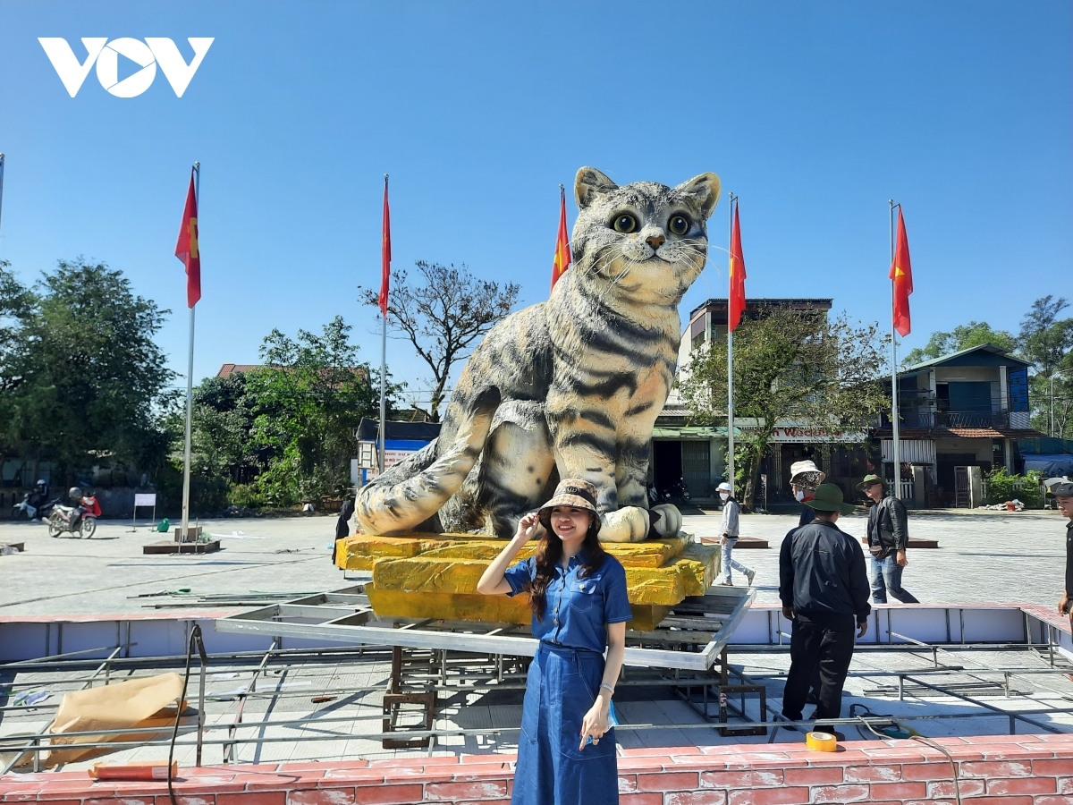 people keen on cat mascot ahead of lunar new year in quang tri picture 7