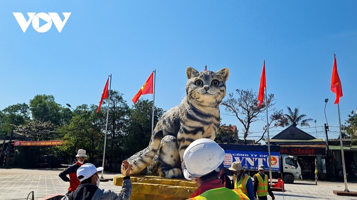 people keen on cat mascot ahead of lunar new year in quang tri picture 9
