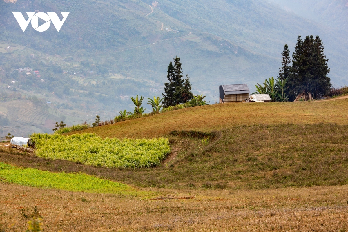 discovering majestic beauty of suoi thau steppe in ha giang picture 1