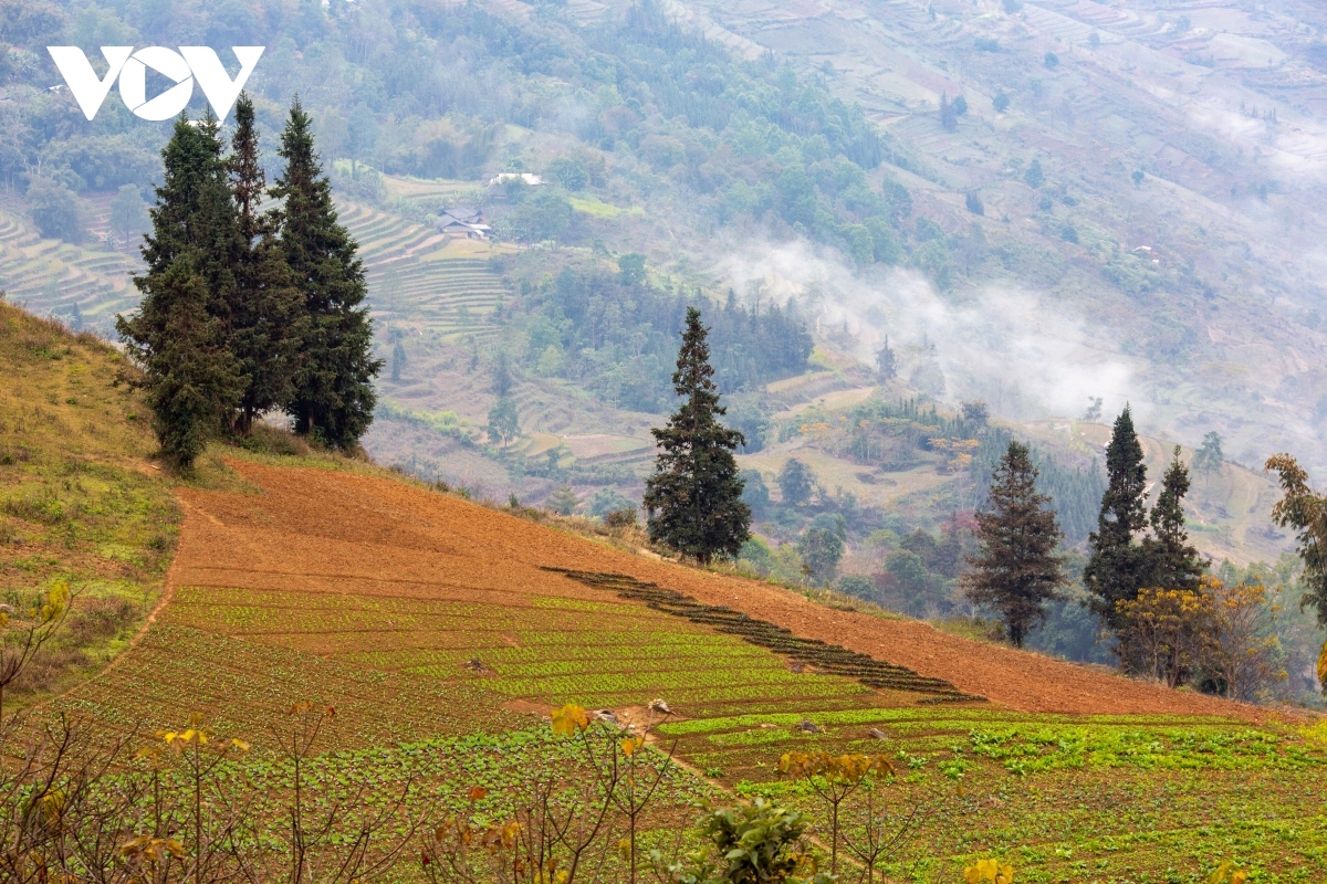 discovering majestic beauty of suoi thau steppe in ha giang picture 12