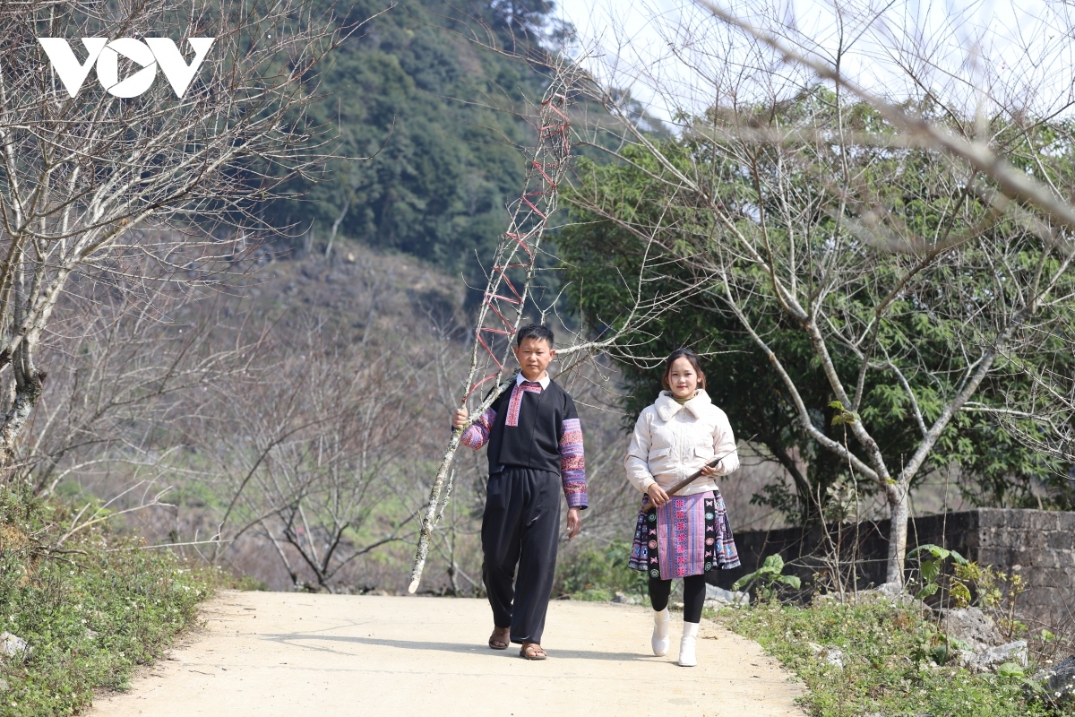 wild peach blossoms attract visitors ahead of lunar new year festival picture 2