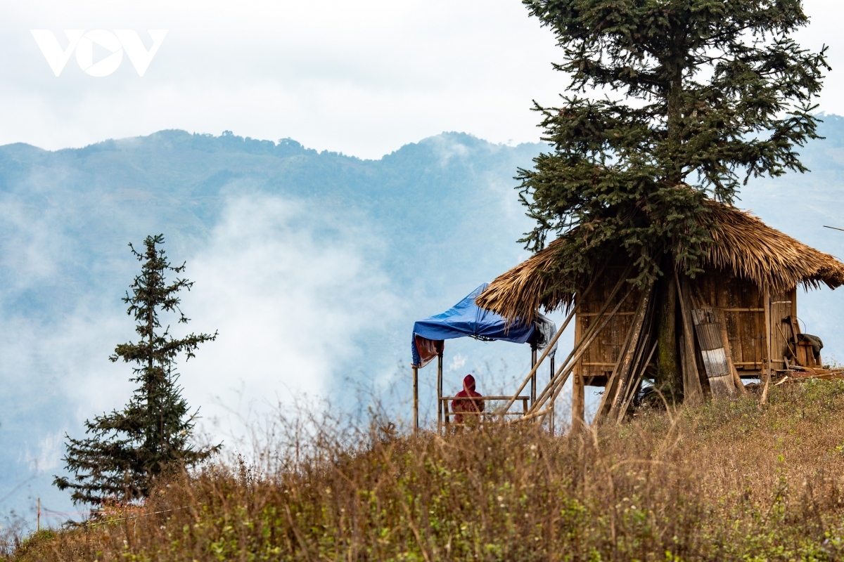 discovering majestic beauty of suoi thau steppe in ha giang picture 8