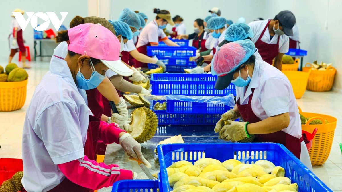 tough challenges ahead for vietnamese exports in 2023 picture 2