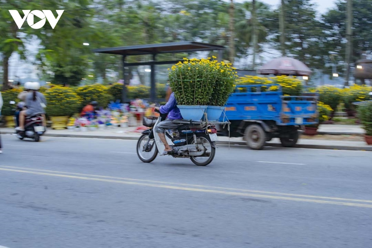 dao choi cho hoa co do hue ngay 30 tet quy mao hinh anh 7