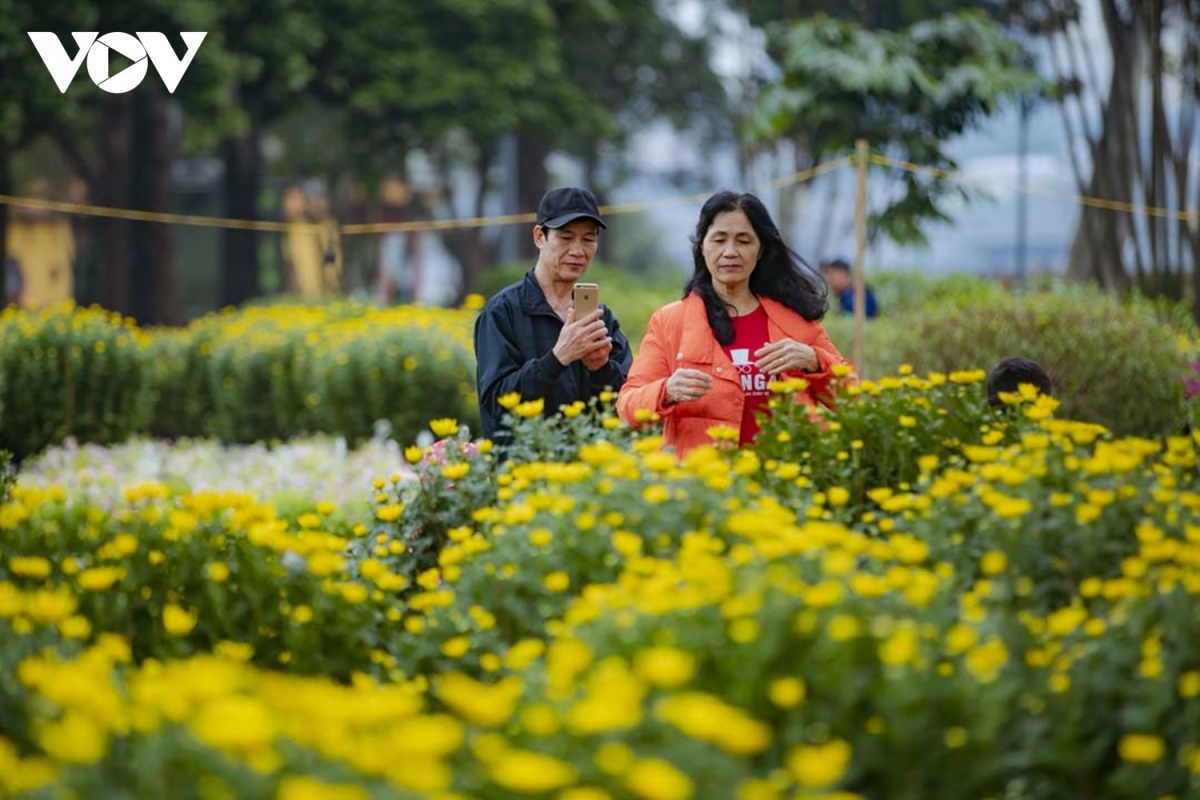 dao choi cho hoa co do hue ngay 30 tet quy mao hinh anh 9