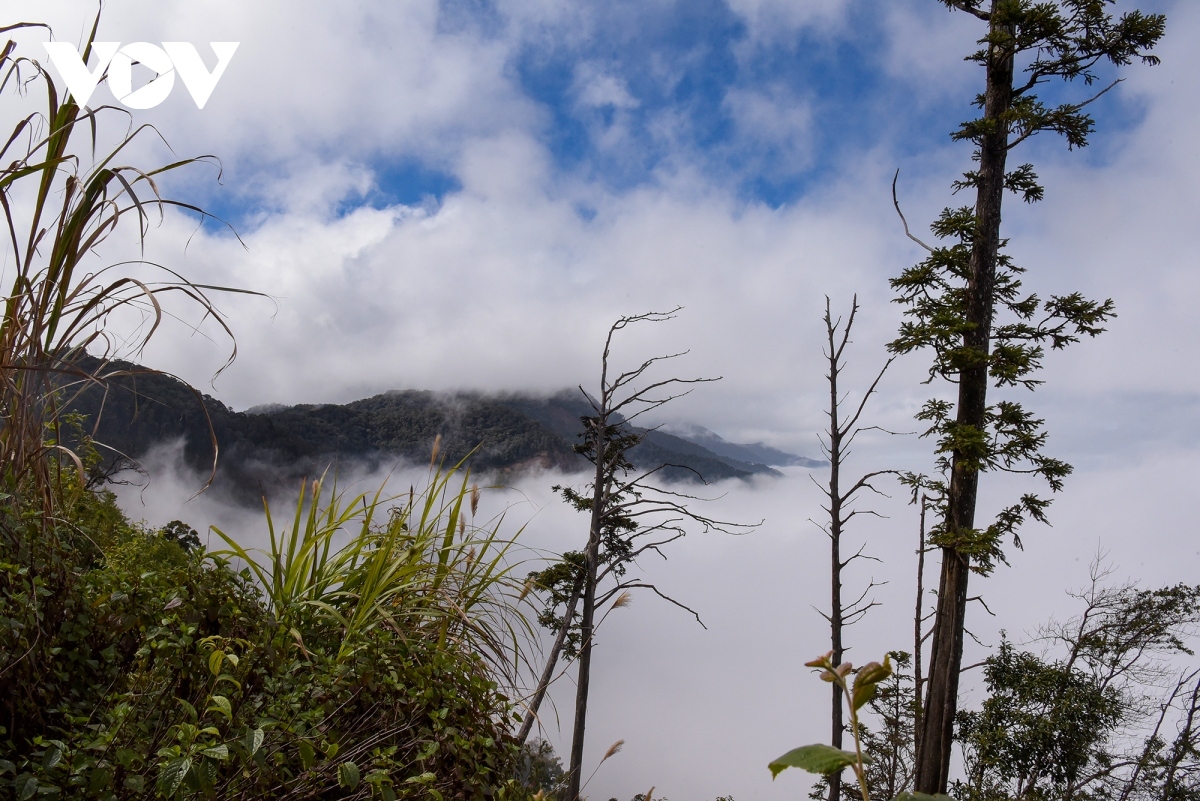 hunting for clouds in central vietnam picture 10