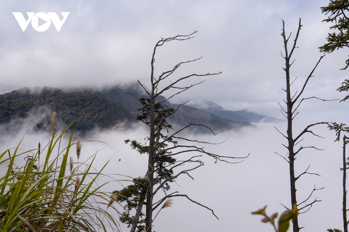 hunting for clouds in central vietnam picture 5