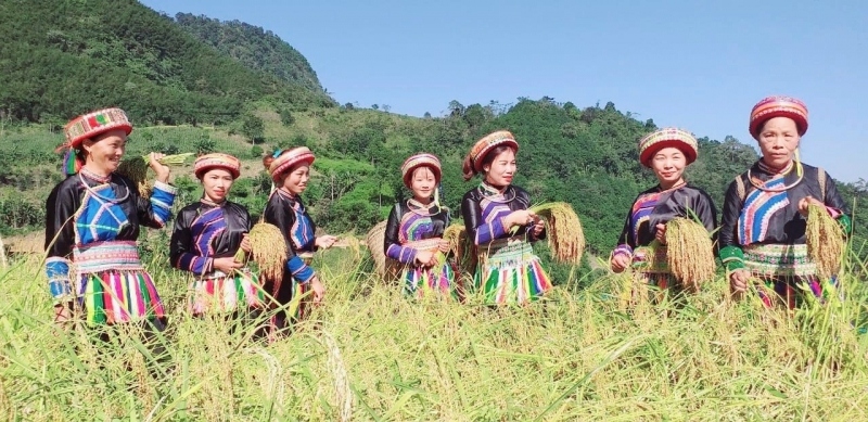 sac xuan tren dinh nui hoa hinh anh 1