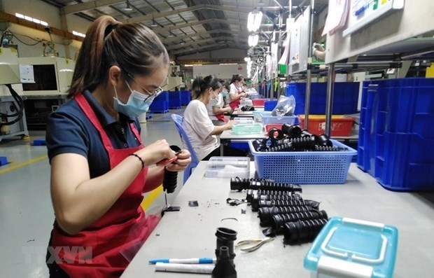 domestic firms in dong nai set new record in export turnover picture 1