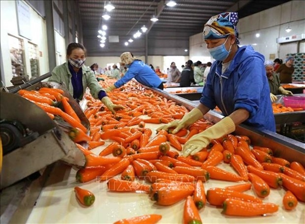 vietnam expects more markets to open to farm produce in 2023 picture 1