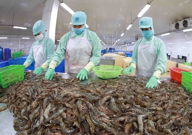 seafood exporters profit projected to fall in 2023 picture 1