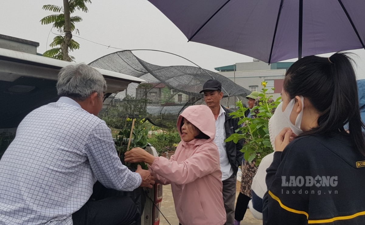 large northern flower village hurriedly prepares for lunar new year picture 5