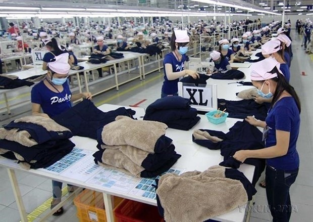 majority back to work after tet in southern industrial hubs picture 1