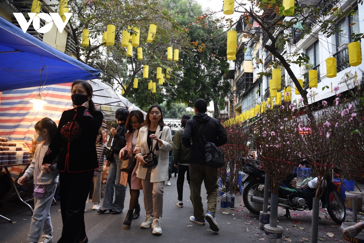 bustling hanoi streets gear up for upcoming tet holiday picture 9 bustling hanoi streets gear up for upcoming tet holiday picture 9