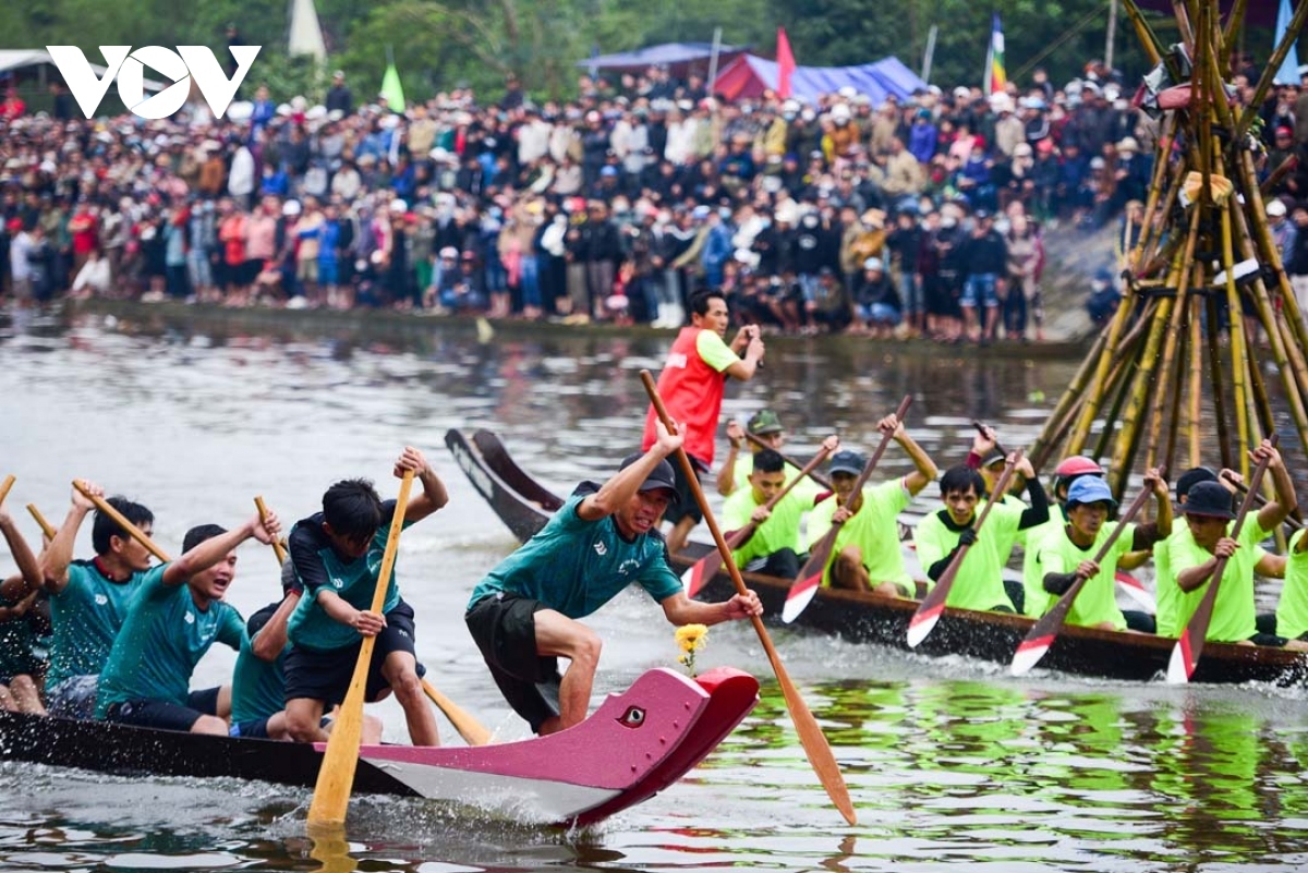 traditional boat racing festival opens in thua thien-hue picture 3