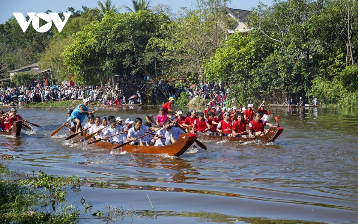 traditional boat racing festival opens in thua thien-hue picture 6
