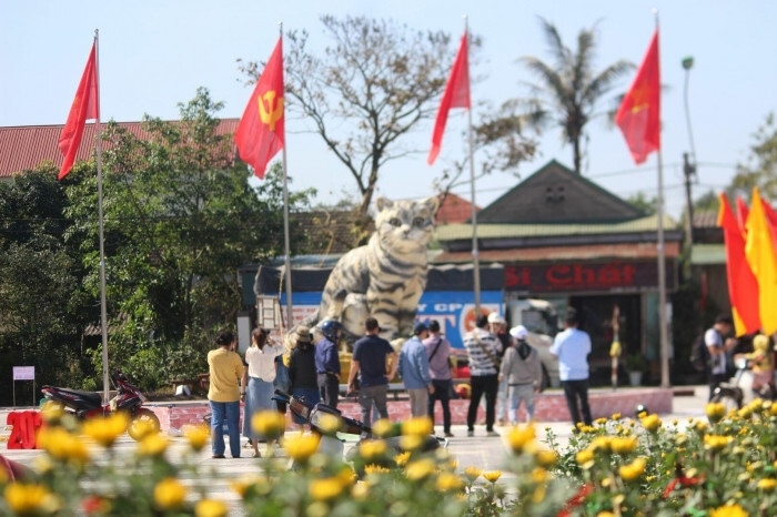 nguoi lam linh vat meo hoang hau o quang tri khien dan mang tram tro la ai hinh anh 3