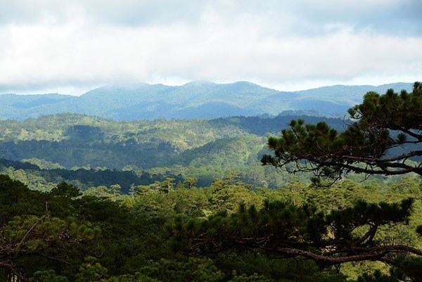 exploring langbiang - the first biosphere reserve in central highlands picture 1