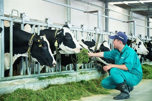 livestock industry hopes difficulties will reduce in 2023 picture 1