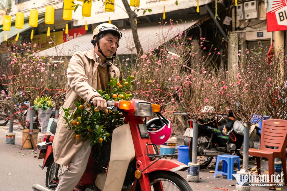 hang luoc traditional flower market bustling as tet draws near picture 10