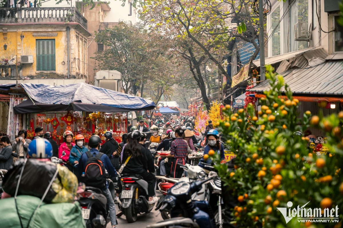 hang luoc traditional flower market bustling as tet draws near picture 2